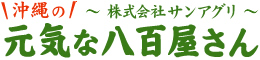 沖縄の元気な八百屋さん　by株式会社サンアグリ